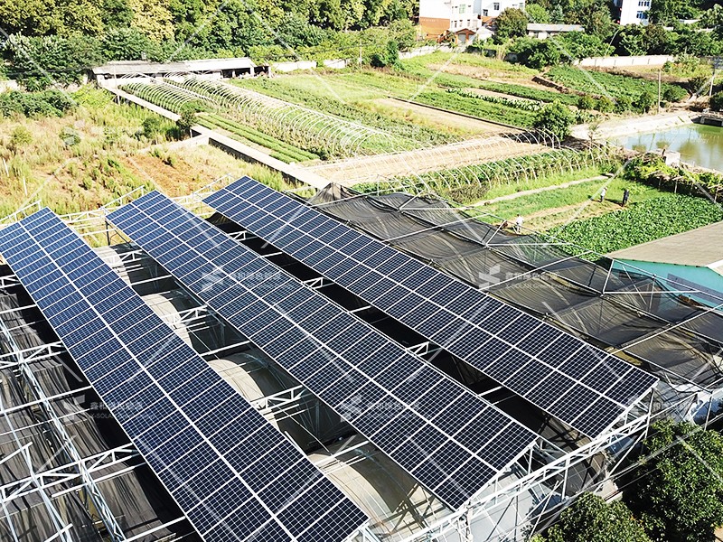 湖北J9集团国际绿色能源有限公司